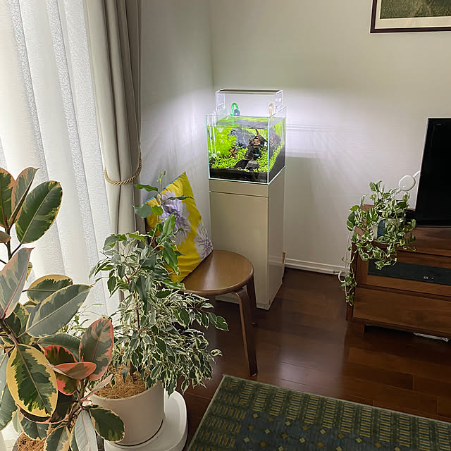 etsuさんの部屋