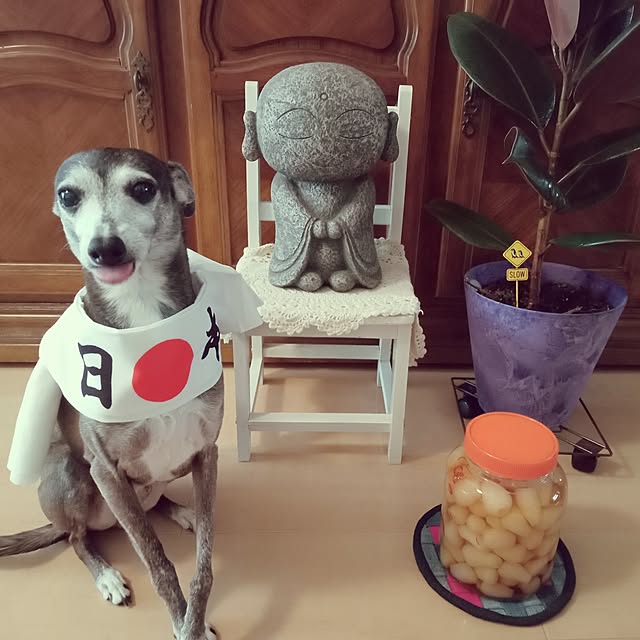 moruさんの実例写真