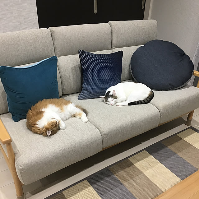 nnkttoさんの実例写真