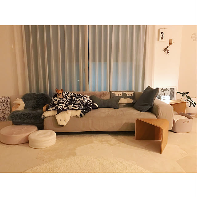haruhinaさんの実例写真