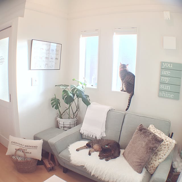 lovecatさんの実例写真