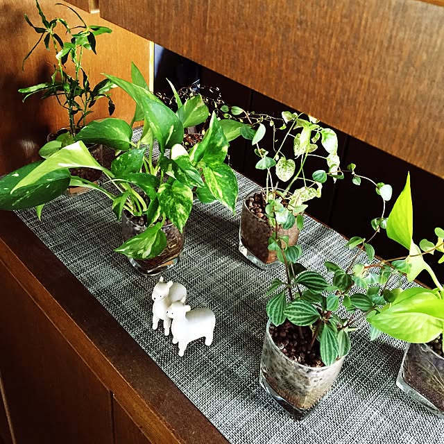 pocoteriさんの部屋