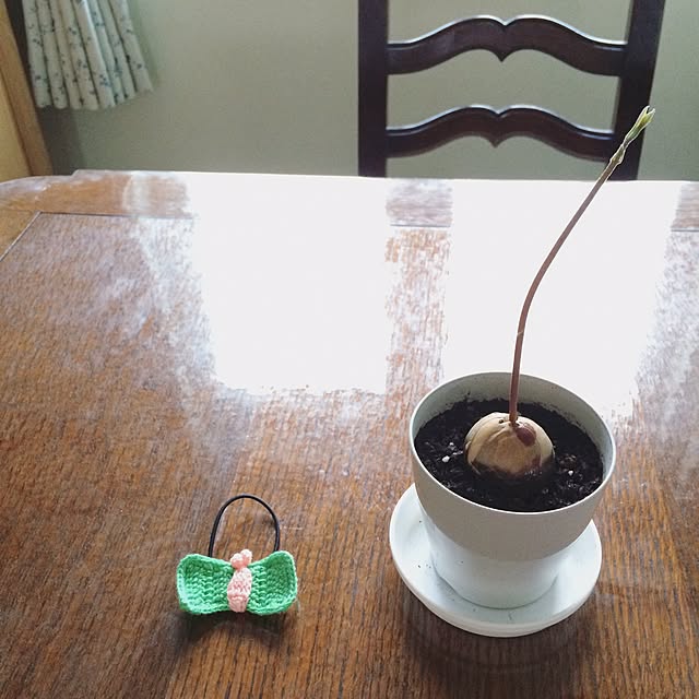kanaさんの実例写真