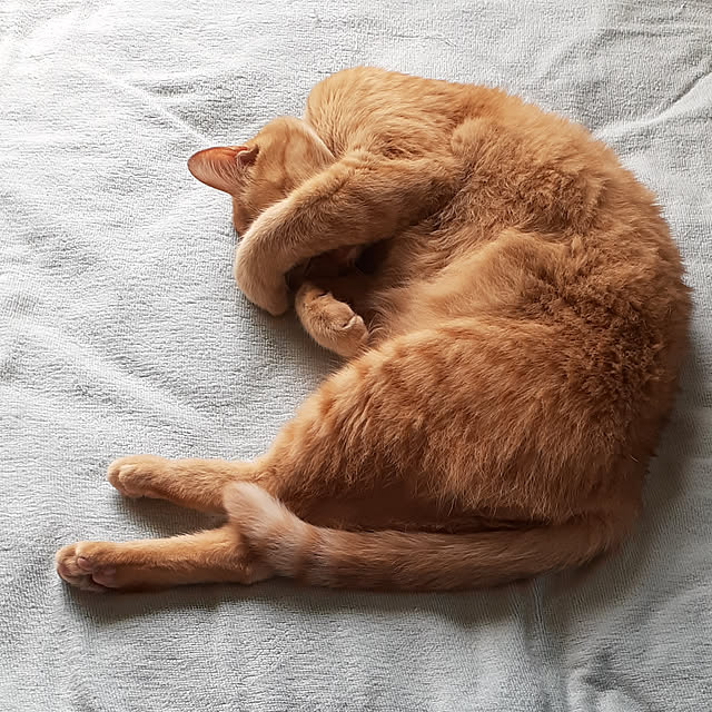 amtさんの実例写真