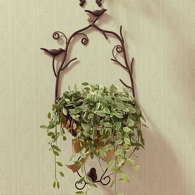 AYUKOさんの実例写真