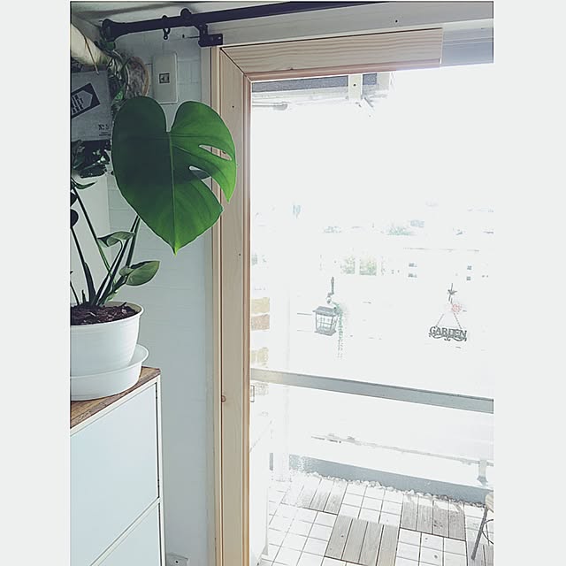 smileyさんの実例写真
