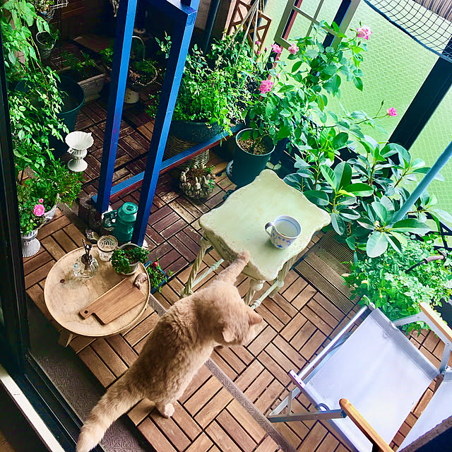 naokoさんの部屋