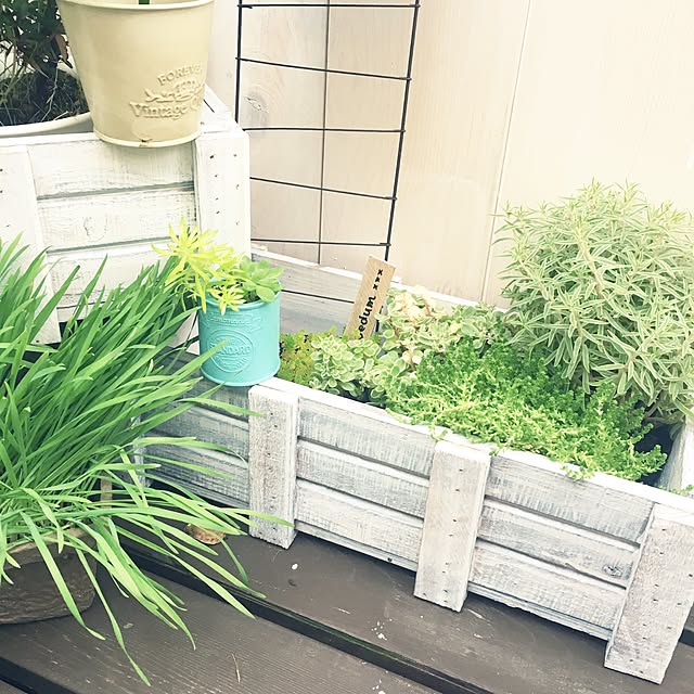 makoriさんの実例写真