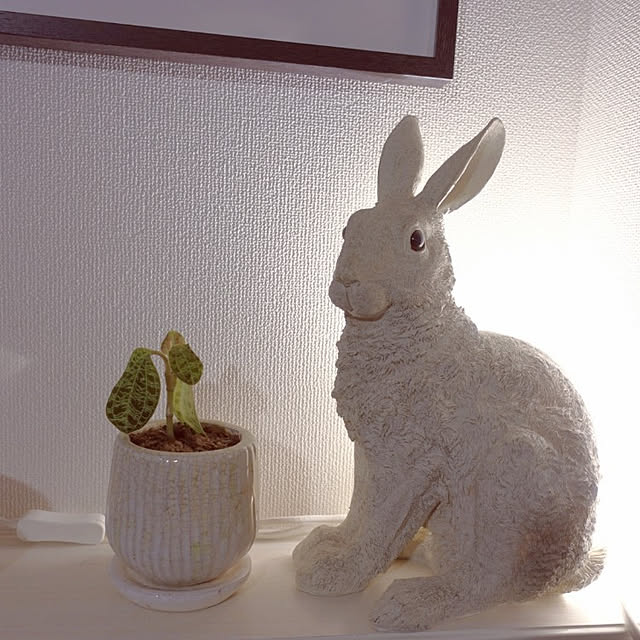 coco.Apartmanさんの実例写真