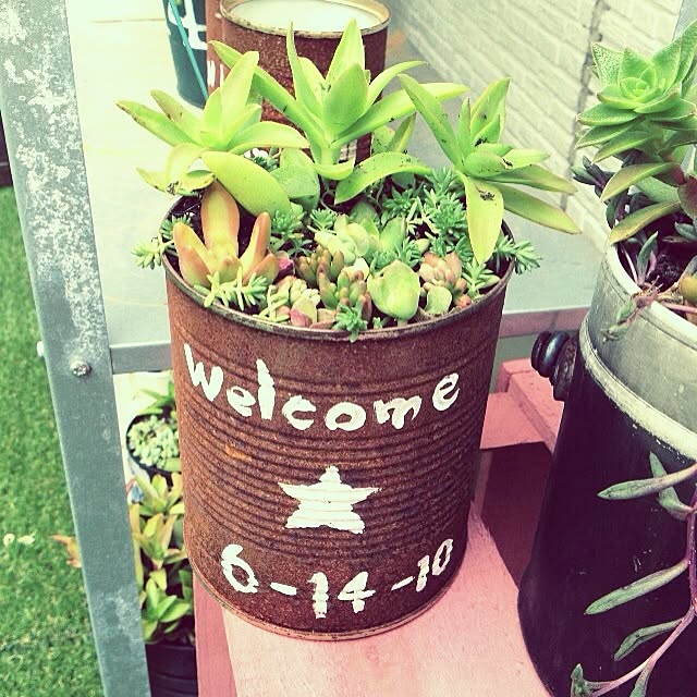 実例写真