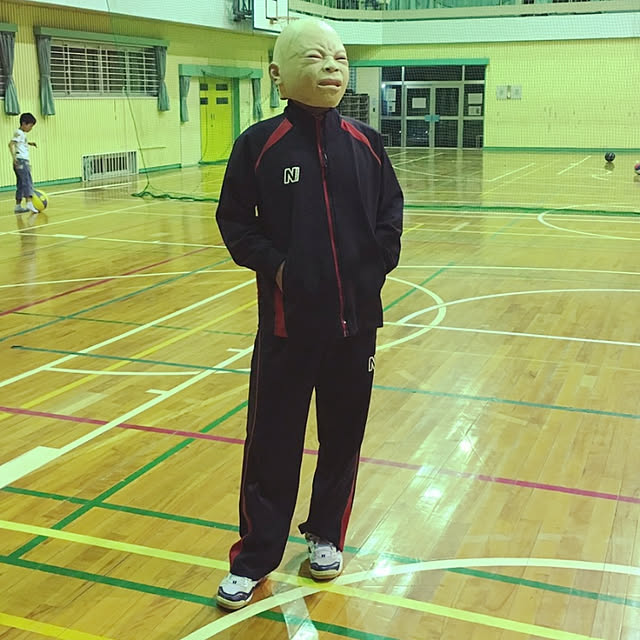実例写真