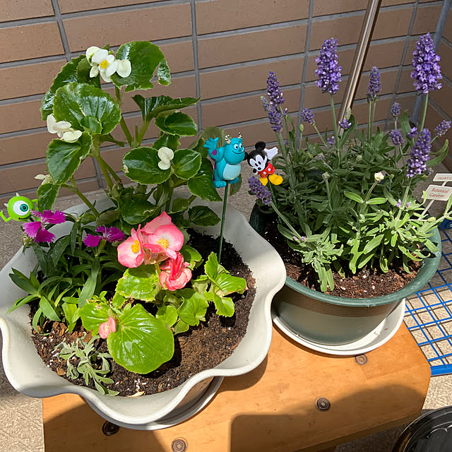 syonさんの部屋
