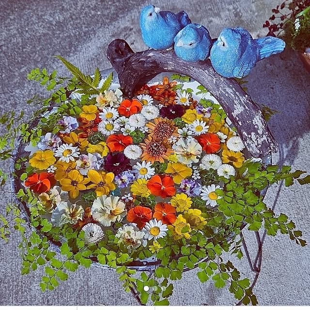 mocomocoさんの部屋