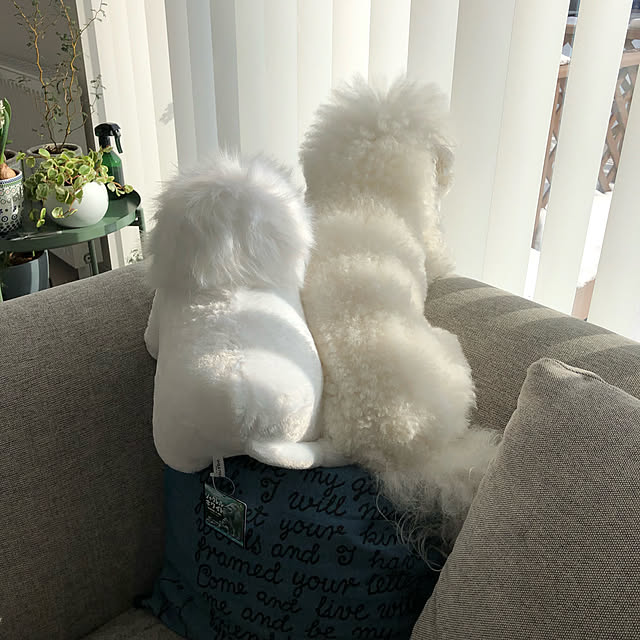 unichanさんの実例写真