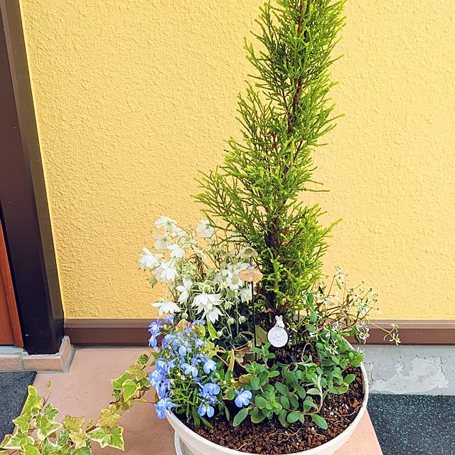 oliveさんの実例写真