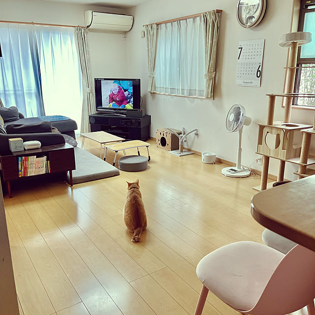 chiiさんの実例写真