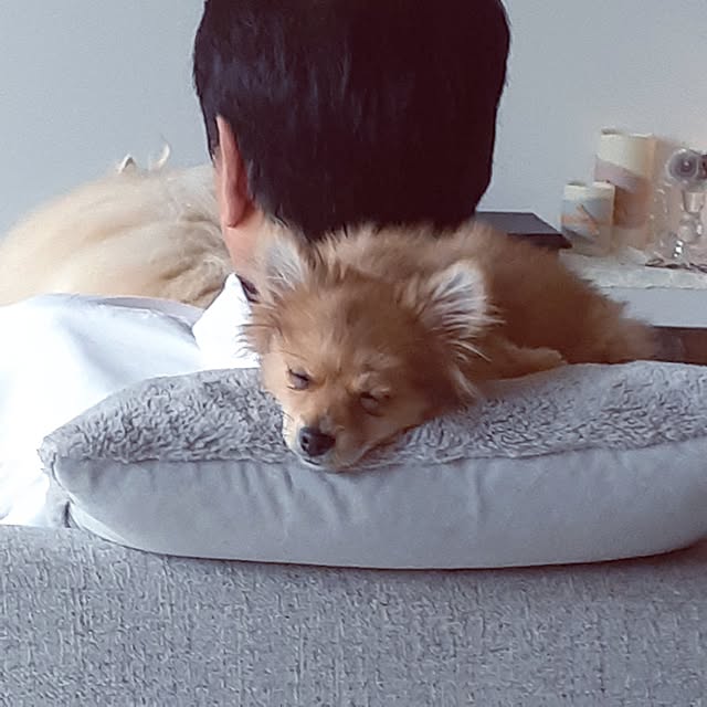 noahさんの部屋