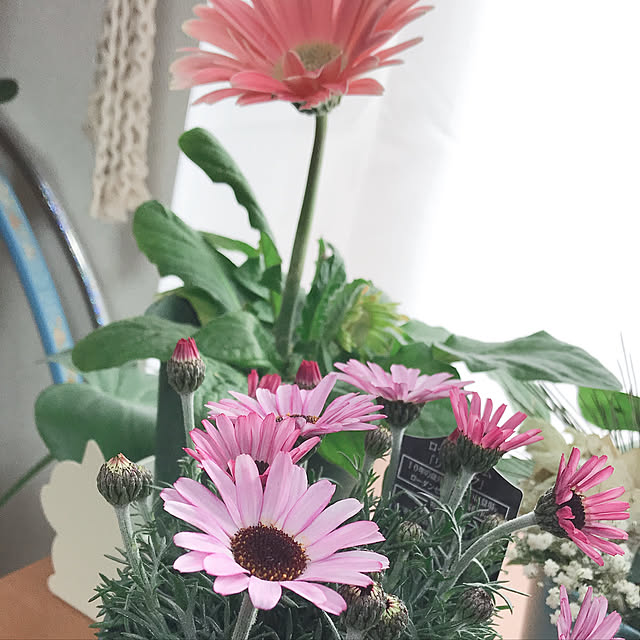 HANAさんの実例写真