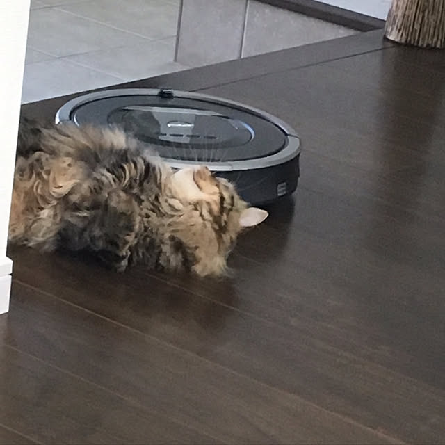 takiさんの実例写真