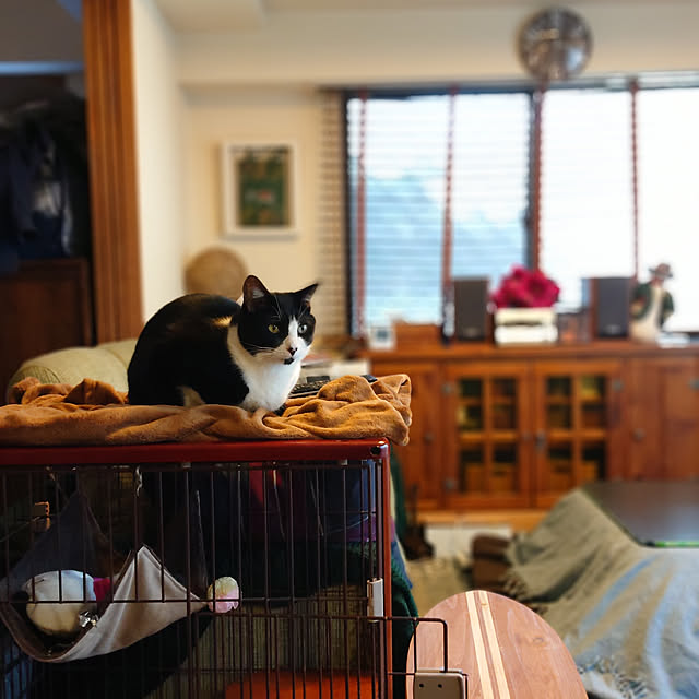 okyosan101さんの実例写真