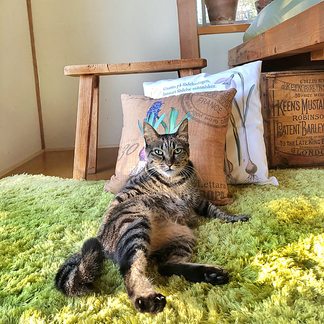 weさんの実例写真