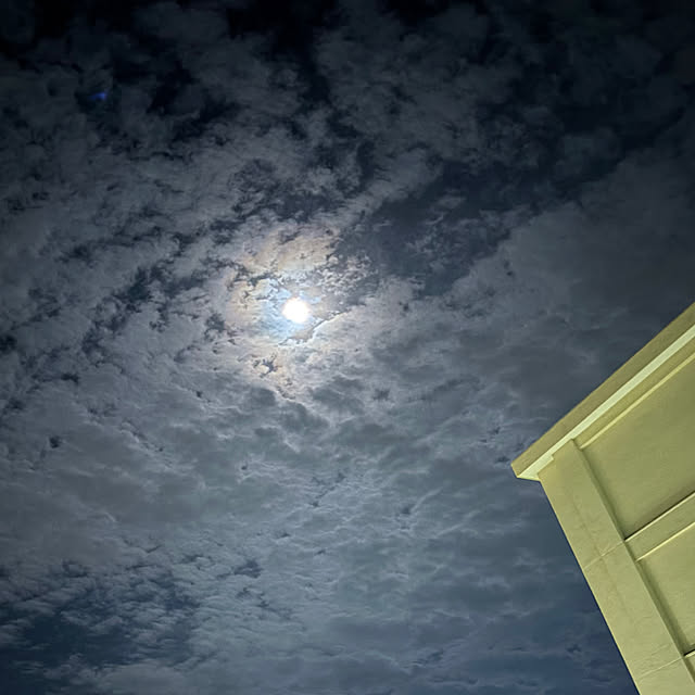 syutmmさんの部屋