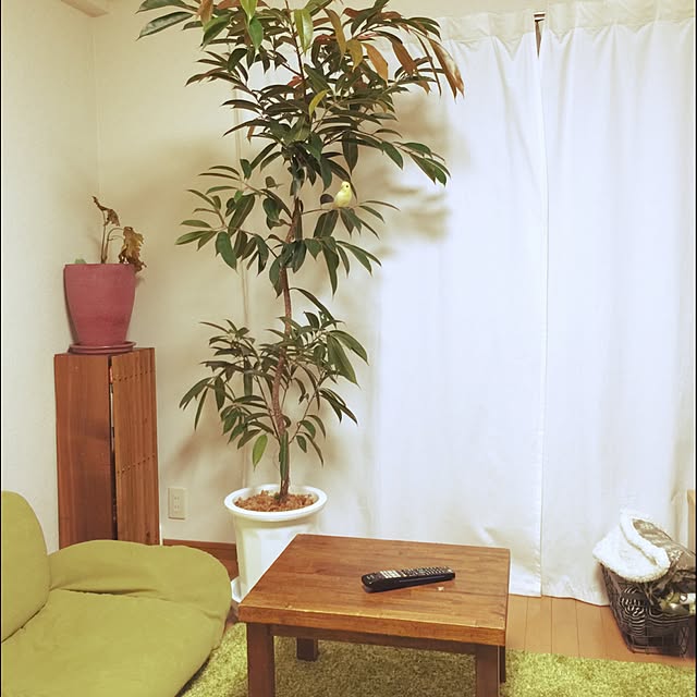 shirokinaさんの実例写真