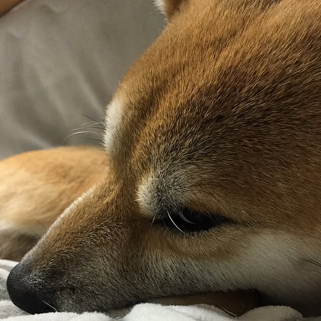 kotaさんの実例写真