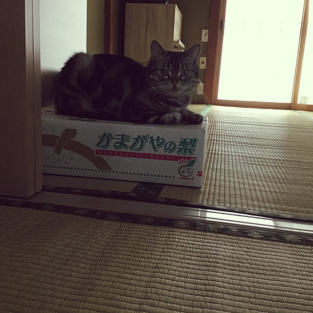 richanさんの実例写真