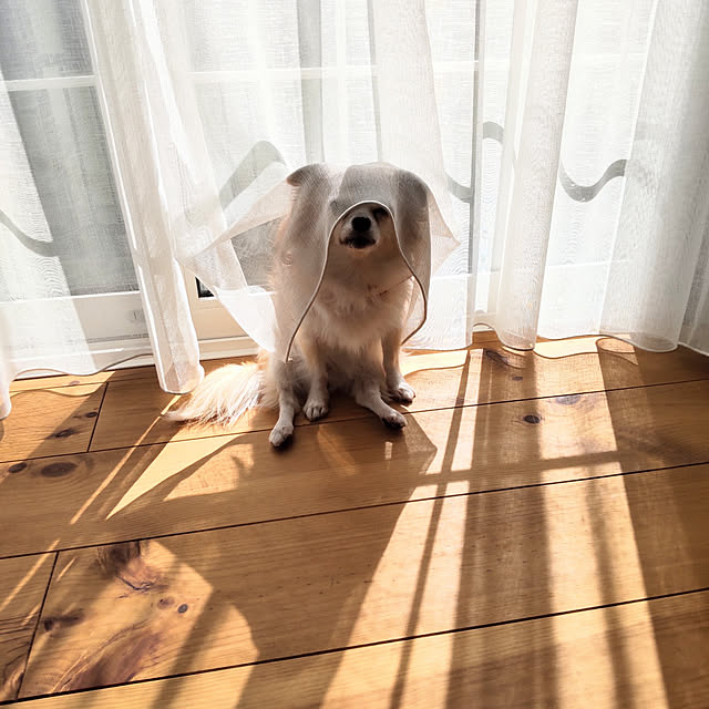 chocolatさんの実例写真