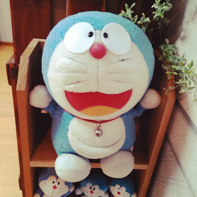 soradoraさんの実例写真