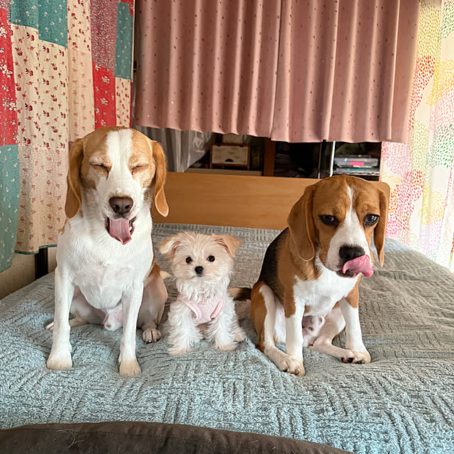 prelumoさんの実例写真