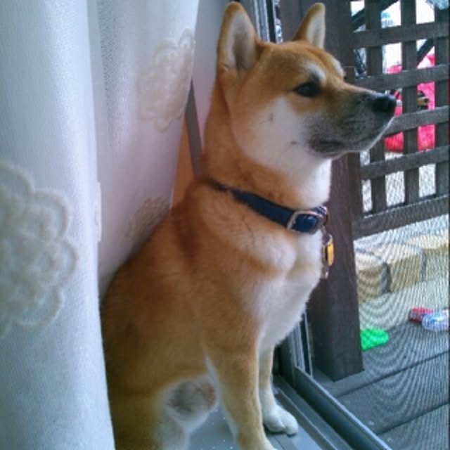 kotaさんの実例写真