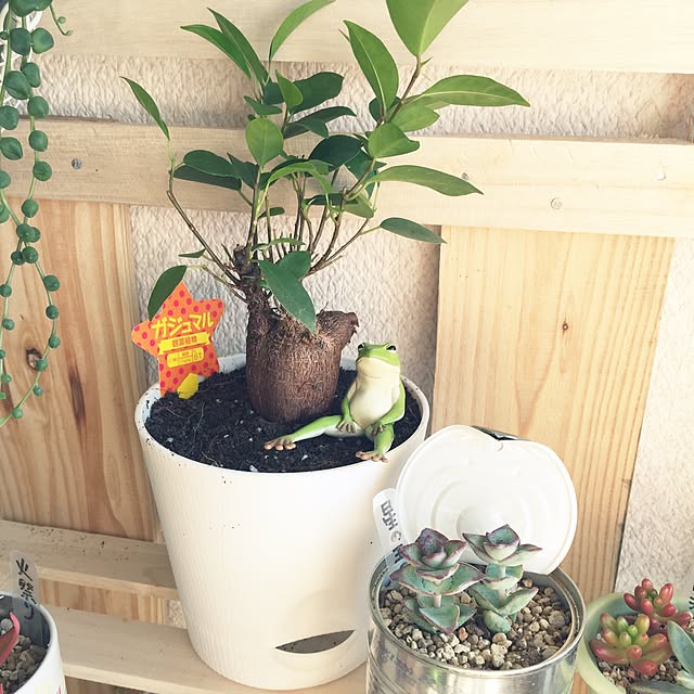 mamaさんの実例写真