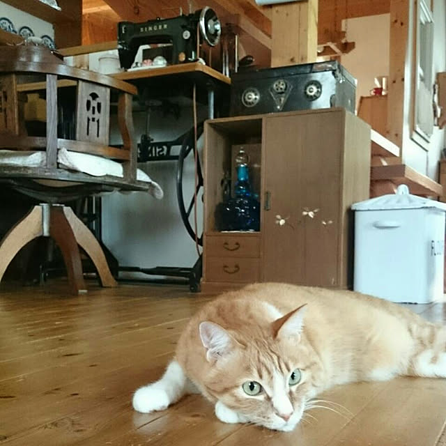 okaasanさんの実例写真