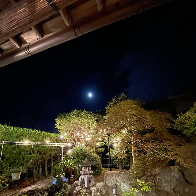 shin0719さんの実例写真