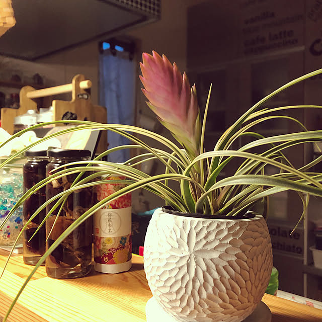 seiさんの実例写真