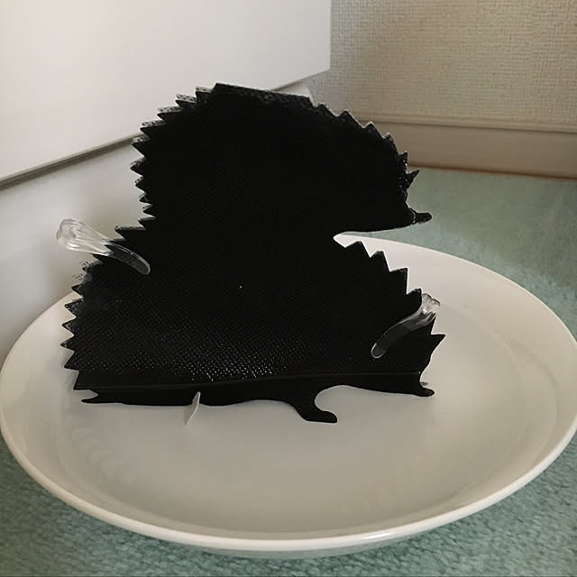 k_dinoさんの実例写真
