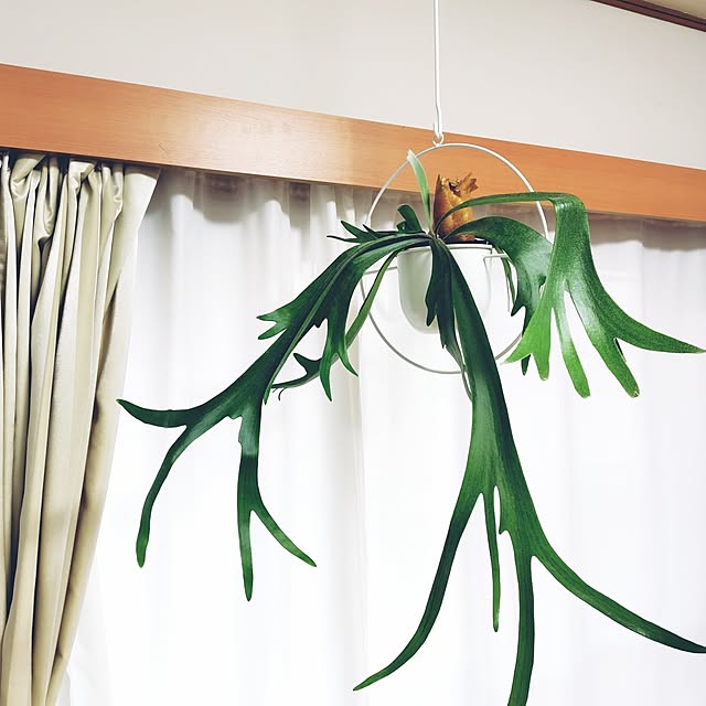 nachiさんの部屋