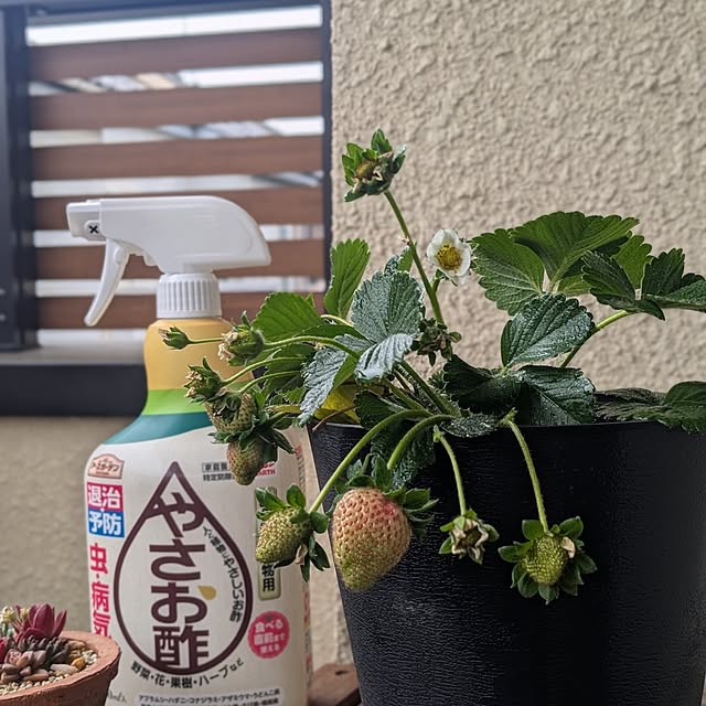 reeさんの実例写真