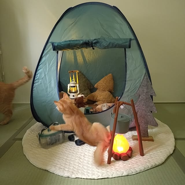 mayutan.さんの部屋