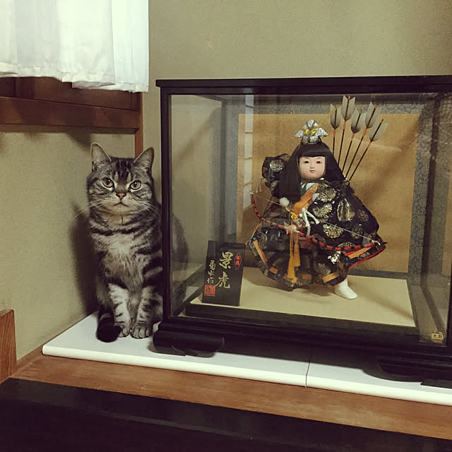richanさんの実例写真
