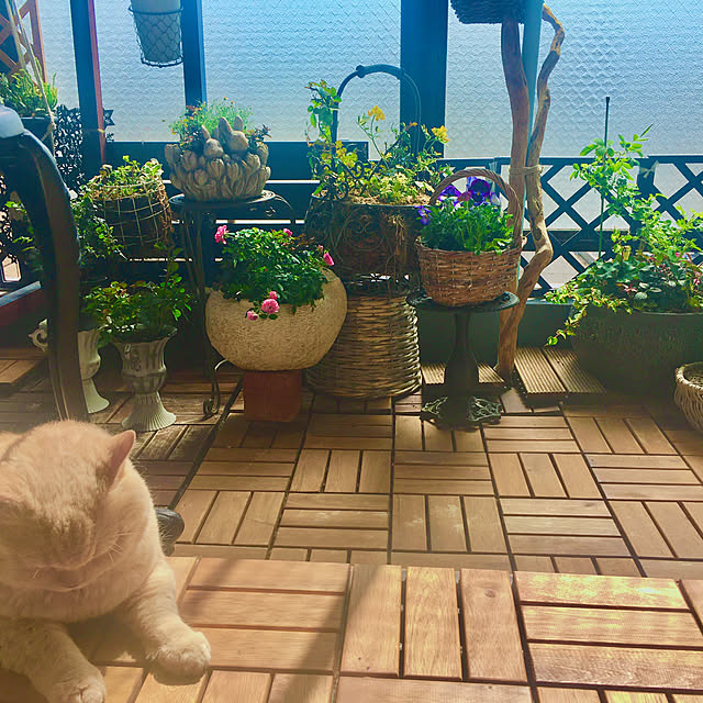 naokoさんの部屋