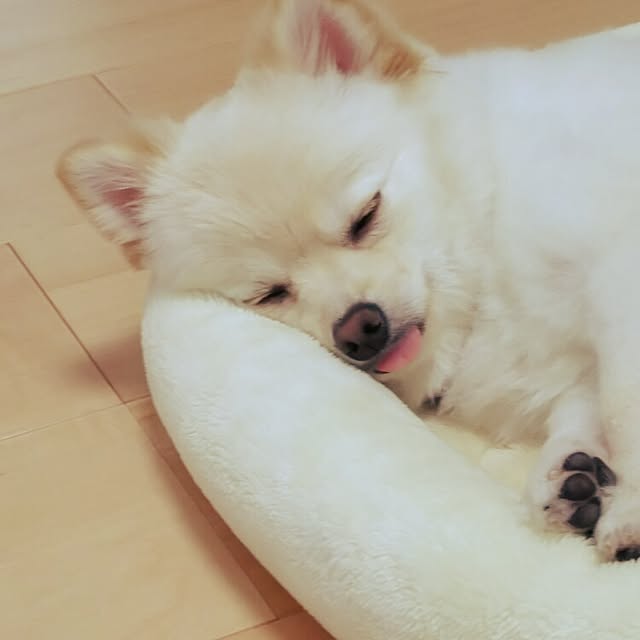 yuki15さんの実例写真