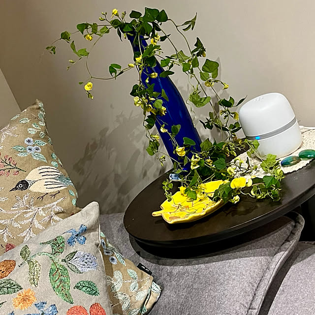 cotaさんの部屋