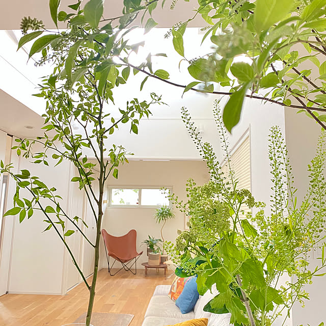 casa308さんの実例写真