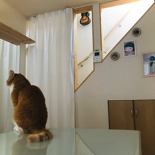 リビング/DIY/北欧のインテリア実例 - 2024-07-05 12:03:42