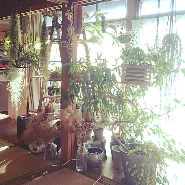 takenさんの実例写真