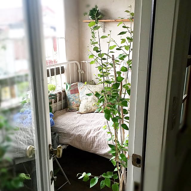 midoriさんの実例写真