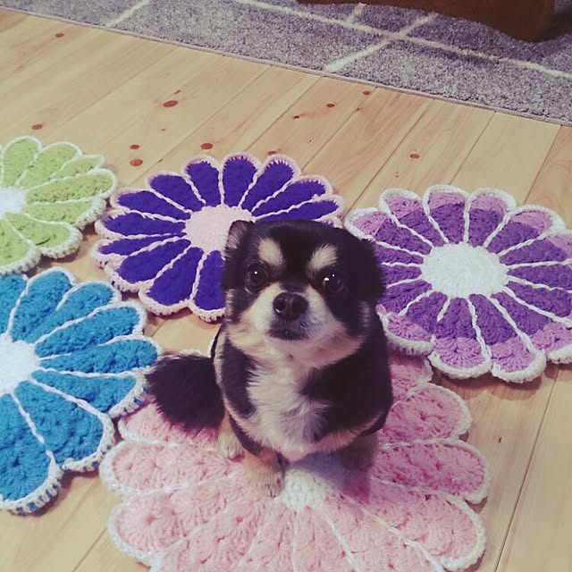 saeさんの実例写真